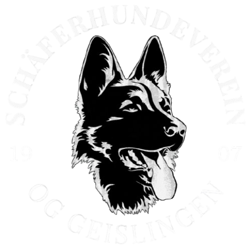 SV OG Geislingen